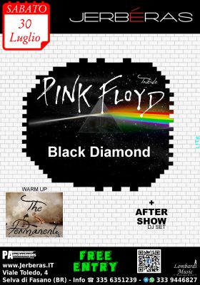 Pink Floyd Tribute Band Black Diamond & The Permanent @ Jerbéras