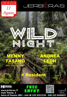 Wild Night 3.0 @ Jerbéras