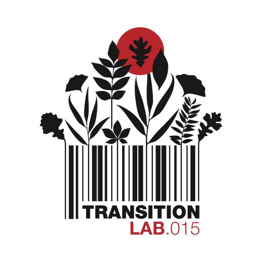 Transition LAB