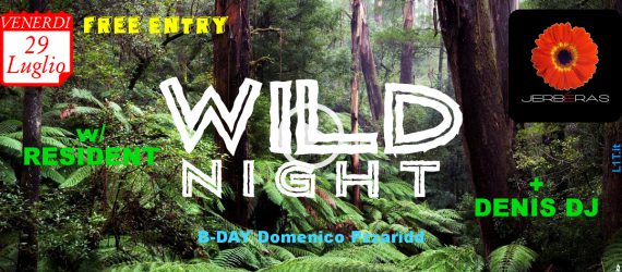 Wild Night 1.0 @ Jerbéras