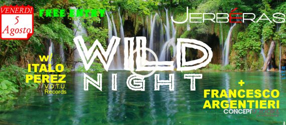Wild Night 2.0 @ Jerbéras