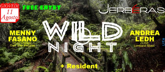 Wild Night 3.0 @ Jerbéras