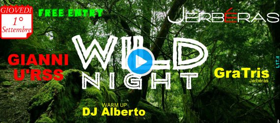 Wild Night 5.0 @ Jerbéras